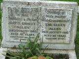 image of grave number 260217